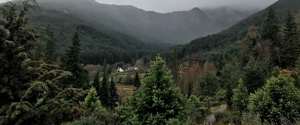 A misty valley with dense forests and a small cluster of houses.