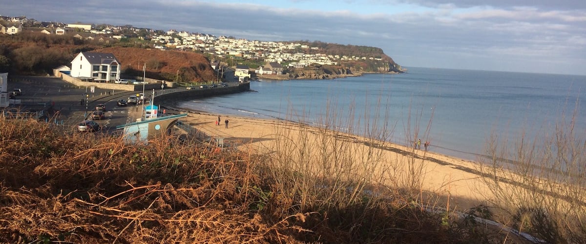 A coastal town with a beach, houses, and a cliff overlooking the sea.