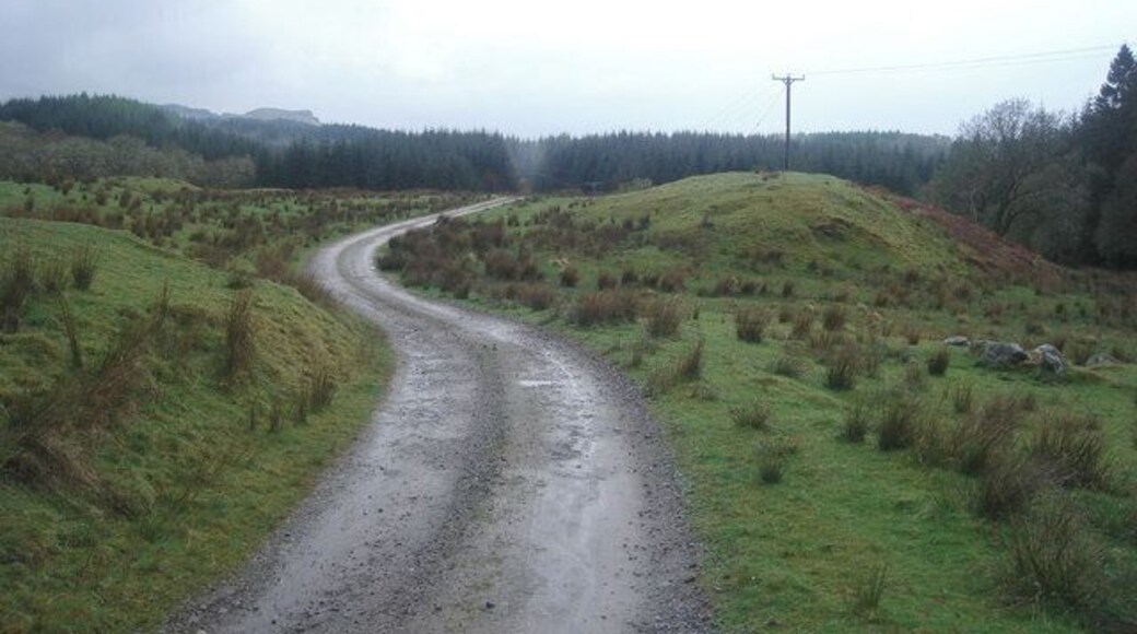 Looking west along the old coffin route near Barcaldine
