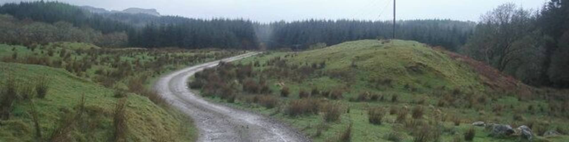Looking west along the old coffin route near Barcaldine