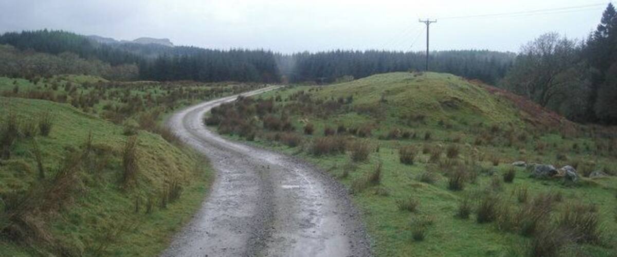 A winding gravel road in a rural landscape with grassy fields and a forest in the background.