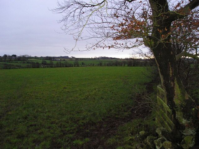 A rural landscape with a tree in the foreground and a green field extending to the horizon.