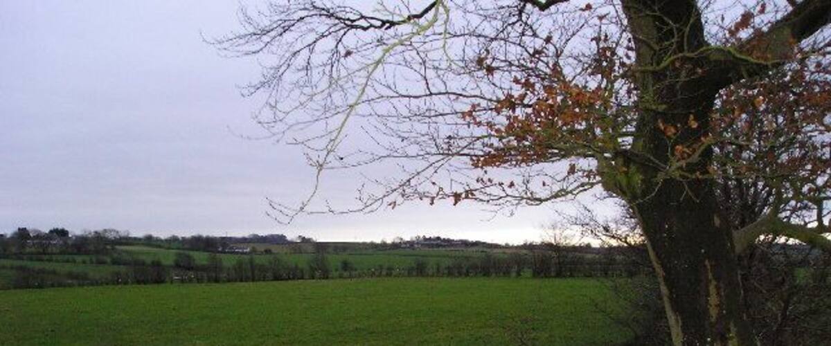 A rural landscape with a tree in the foreground and a green field extending to the horizon.