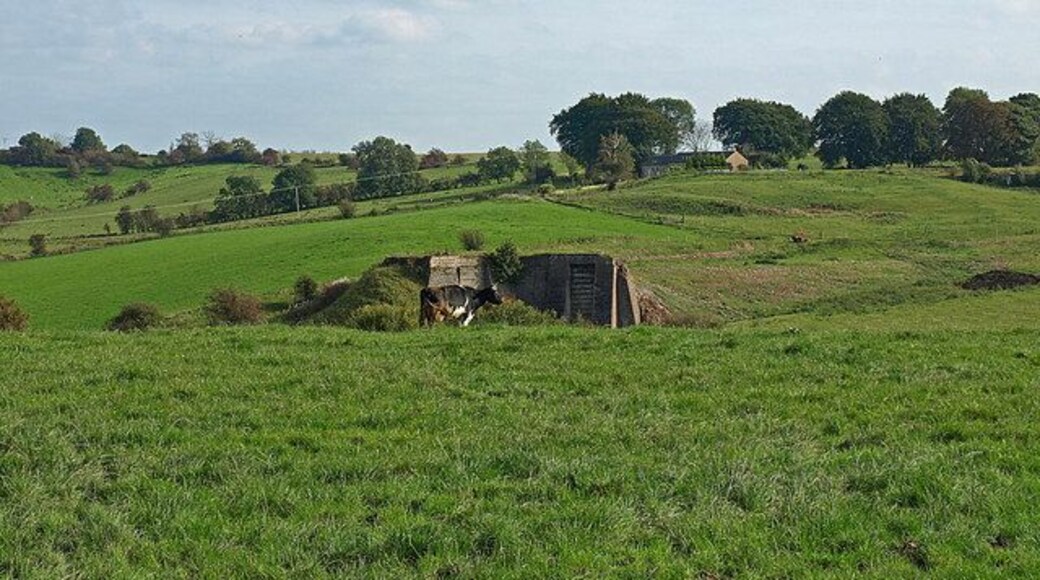 Disused Quarry View over disused quarry to Nettlehirst.