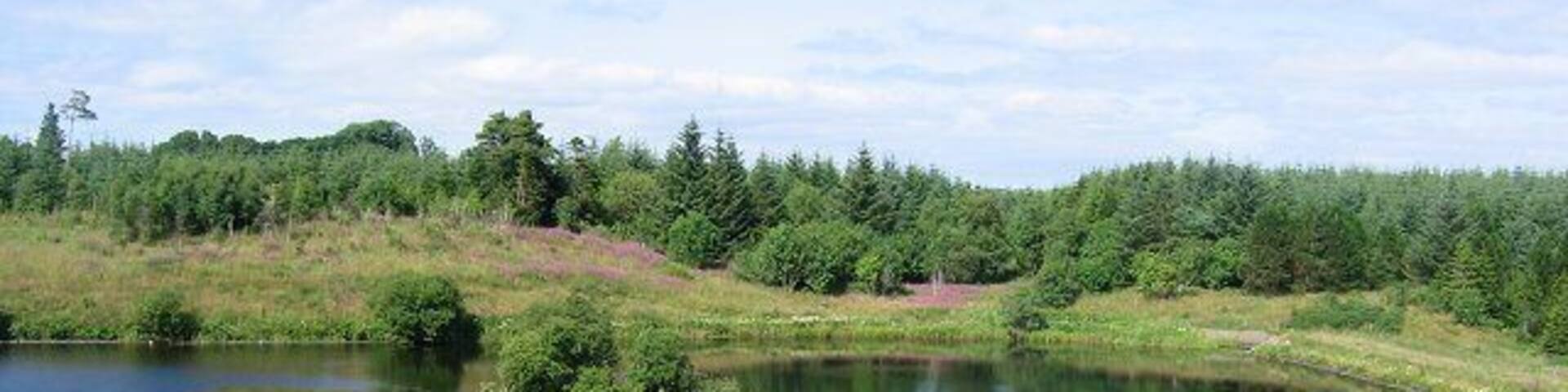 Kirkleegreen Reservoir. Well weathered in old reservoir.