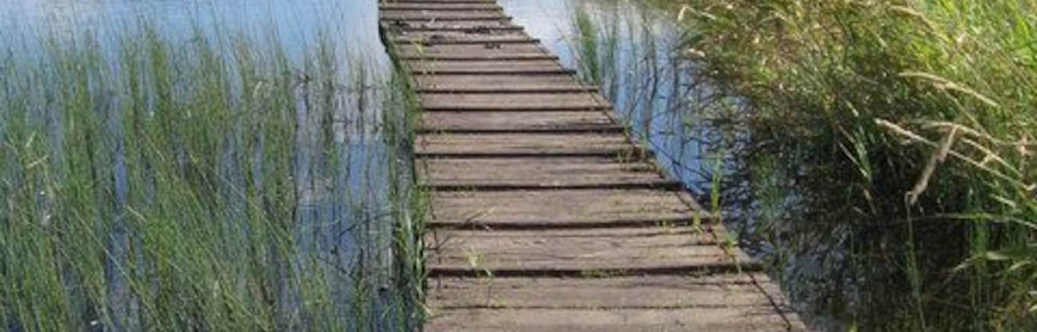 Boardwalk, Kilbirnie Loch Unfortunately there are signs warning against use. But it is still passable.
