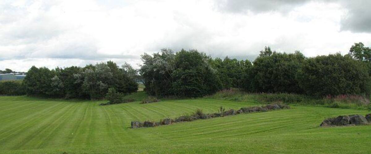 A grassy field with a stone wall and trees in the background.