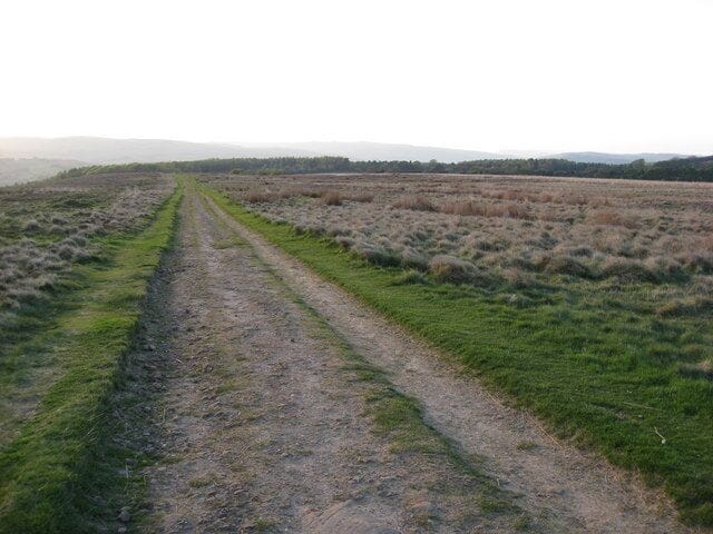 Crossing the Rabbit Warren - Track View