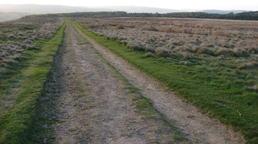 Crossing the Rabbit Warren - Track View