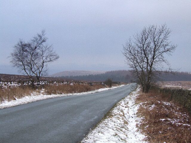 Beely Moor. Looking in the direction of the Hell Bank Plantation.