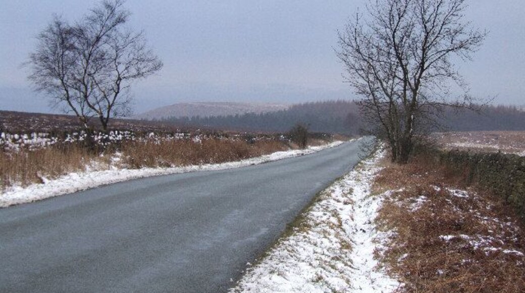 Beely Moor. Looking in the direction of the Hell Bank Plantation.