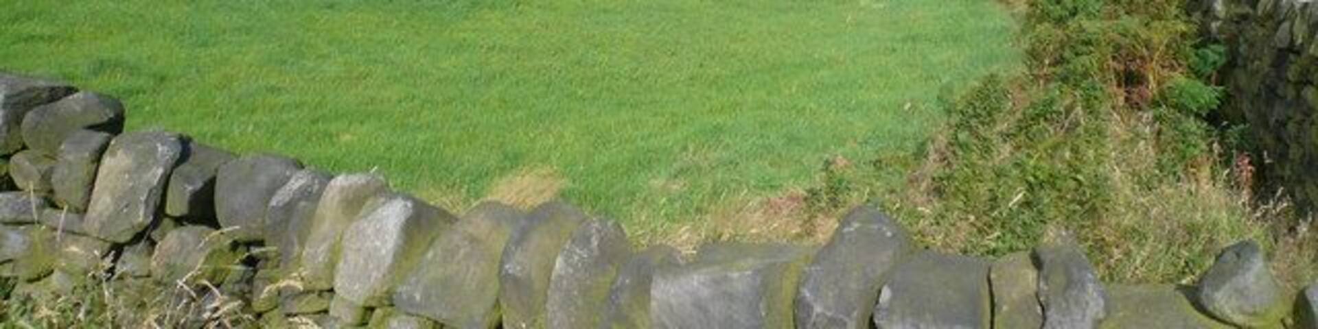 Harewood Moor - Bridleway View across Cat Hole towards Cathole Farm.