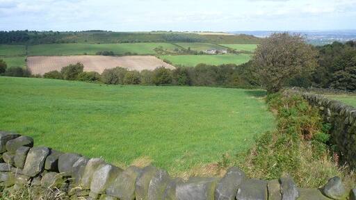 Harewood Moor - Bridleway View across Cat Hole towards Cathole Farm.