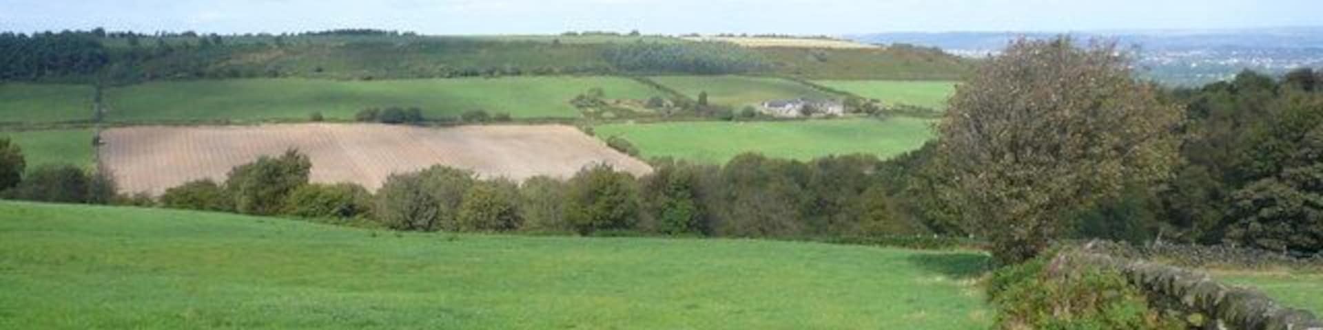 Harewood Moor - Bridleway View across Cat Hole towards Cathole Farm.
