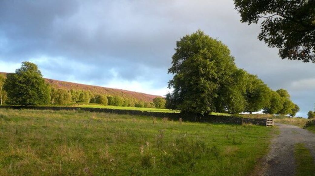 Beeley - Track view in direction of Fallinge