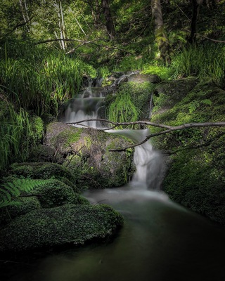 A hidden gem for waterfalls, the area has a number cascades such as this one along with two decent sized waterfalls (there could be more). To find the best images you will need to head off track and deal with steep inclines.