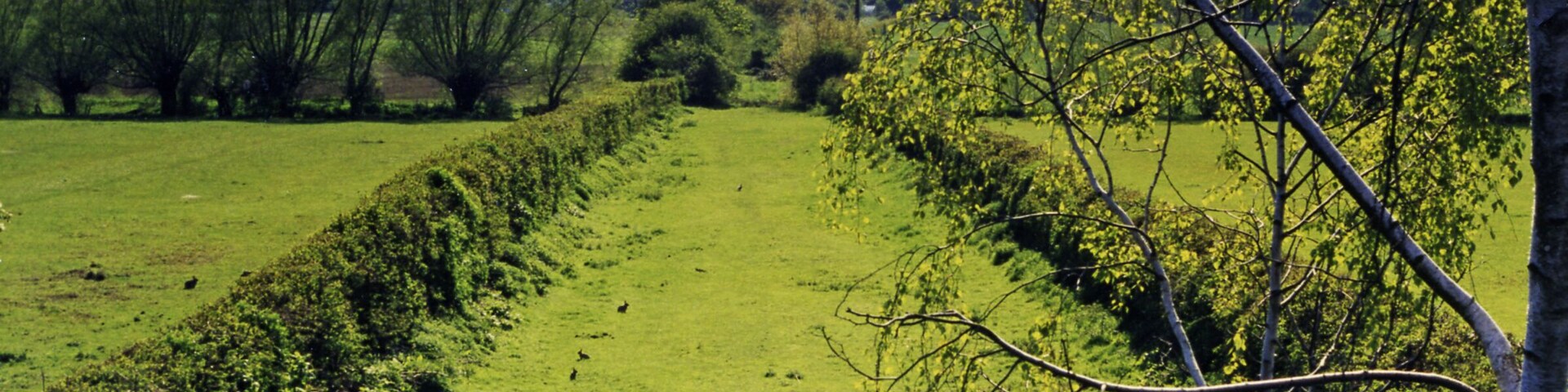 Railway track-bed at Beckford towards Ashchurch, 1998. View SW from bridge at Beckford, towards Ashchurch: ex-Midland (Birmingham) - Barnt Green - Evesham - Ashchurch line, closed 17/6/63. Beckford station had been behind camera.