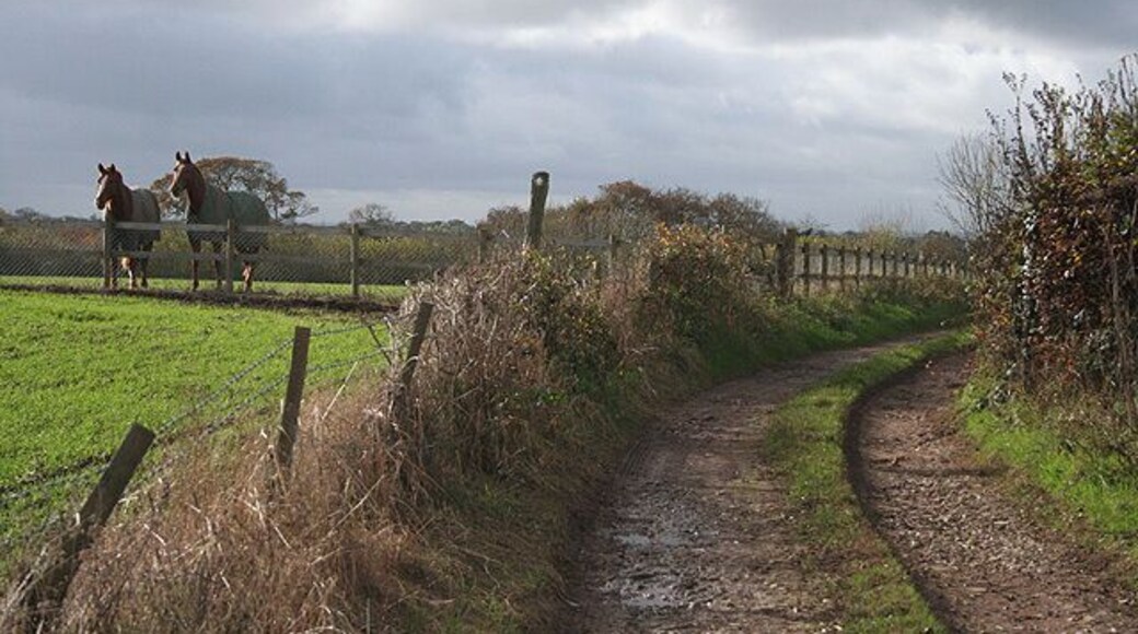 Beaford: track to Down Farm The track doubles as a public footpath to Coombe Farm and Beaford village. By Roborough Common