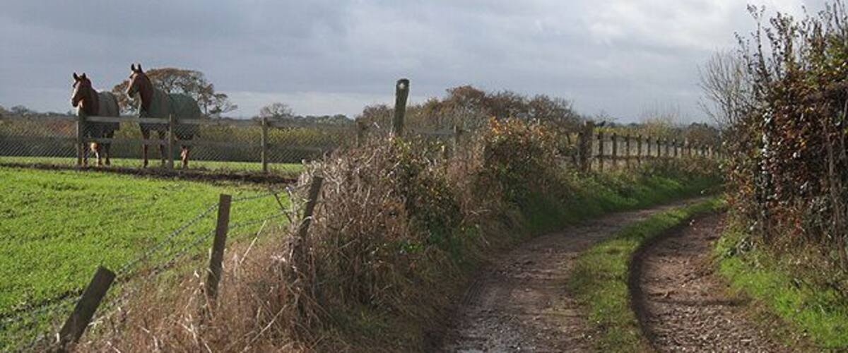 Beaford: track to Down Farm The track doubles as a public footpath to Coombe Farm and Beaford village. By Roborough Common