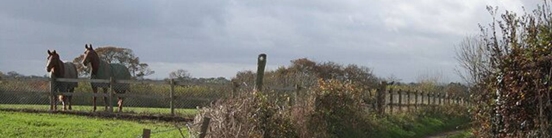 Beaford: track to Down Farm The track doubles as a public footpath to Coombe Farm and Beaford village. By Roborough Common