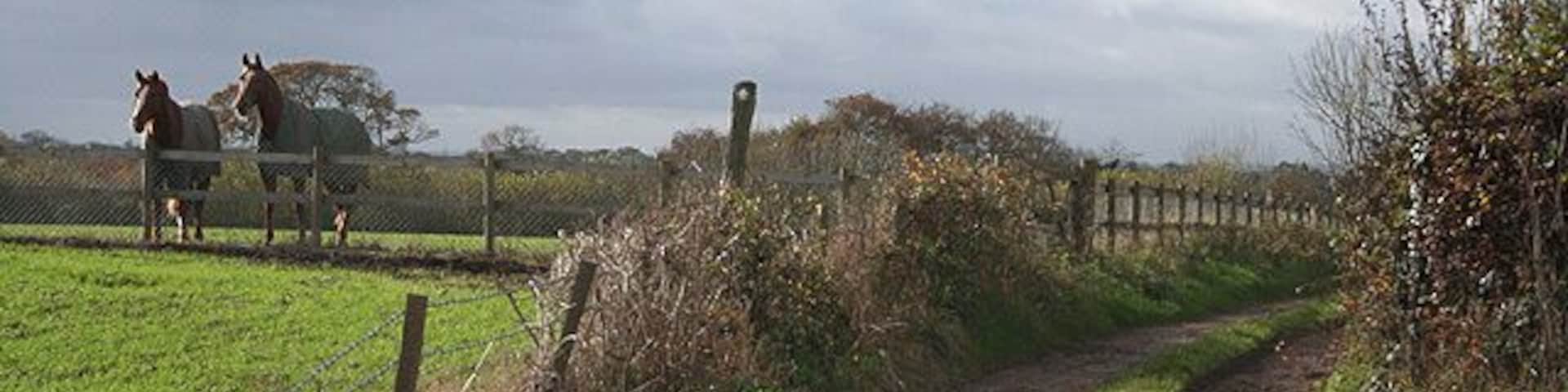 Beaford: track to Down Farm The track doubles as a public footpath to Coombe Farm and Beaford village. By Roborough Common