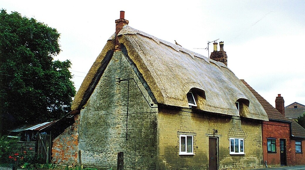 Bird on the roof at Baston, near Bourne, Lincolnshire