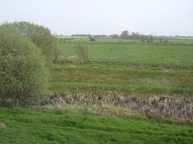 Baston Fen Nature Reserve. Part of the Baston Fen Nature Reserve, which aims to maintain this fen as it would have been before drainage took place. Therefore it is a wetland habitat home to a large number of birds. Taken from the floodbank of the River Glen.