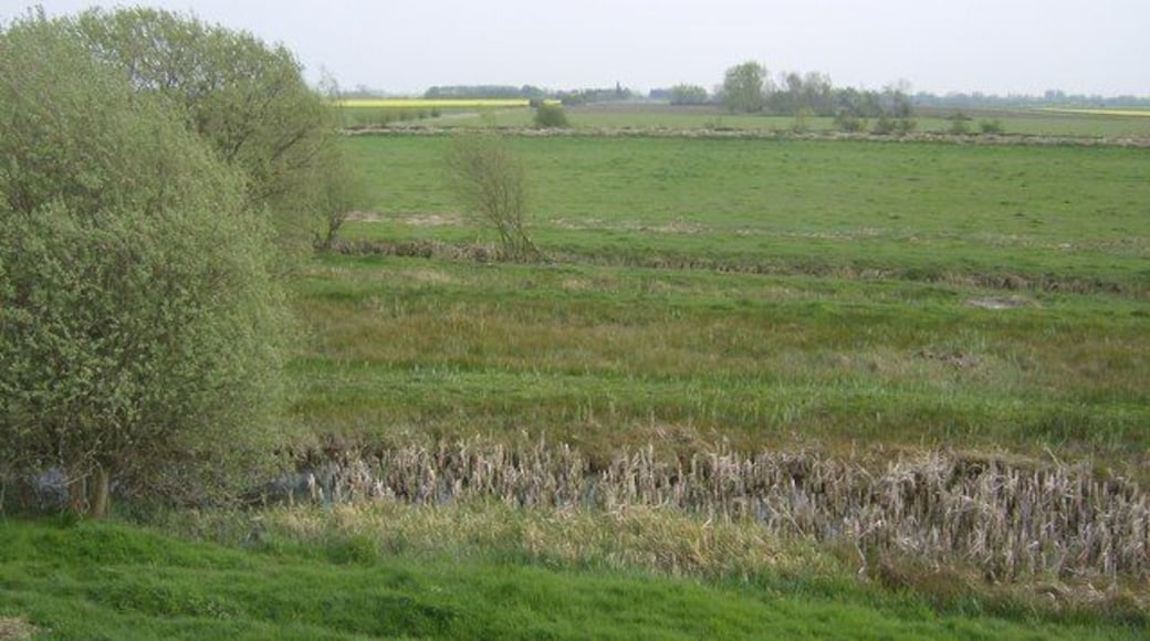 Baston Fen Nature Reserve. Part of the Baston Fen Nature Reserve, which aims to maintain this fen as it would have been before drainage took place. Therefore it is a wetland habitat home to a large number of birds. Taken from the floodbank of the River Glen.