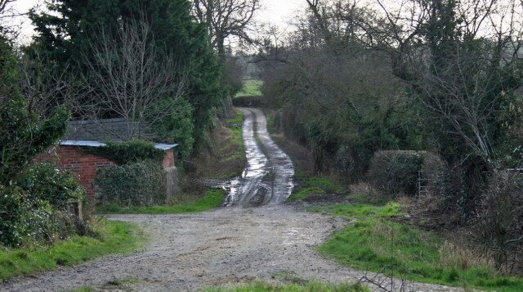 Yew Tree Track Track towards Yew Tree Farm, Westonwharf.