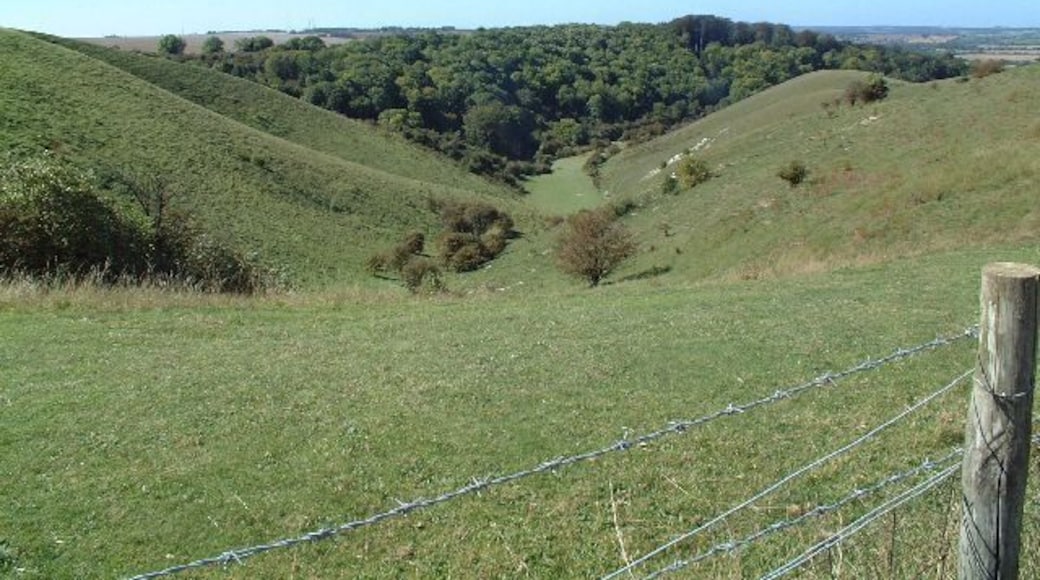 The Fence Post marking Barton Hills Nature Reserve Looking down the glen to Leet Wood