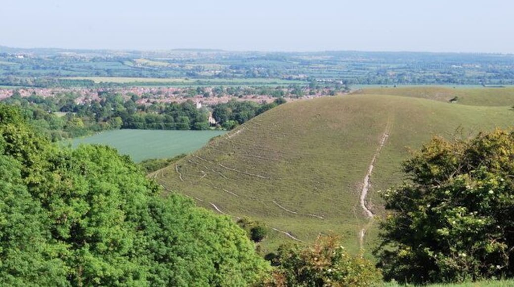 Barton Hills, near to Barton-le-Clay, Bedfordshire, Great Britain. View of Barton Hills and Leet Wood