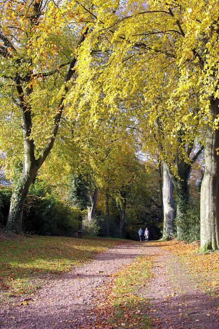 Footpath from Cherry Hill Road to Barnt Green Station This footpath with its majestic avenue of beech trees was created to provide a direct route to the Lickey Hills for visitors arriving by train.