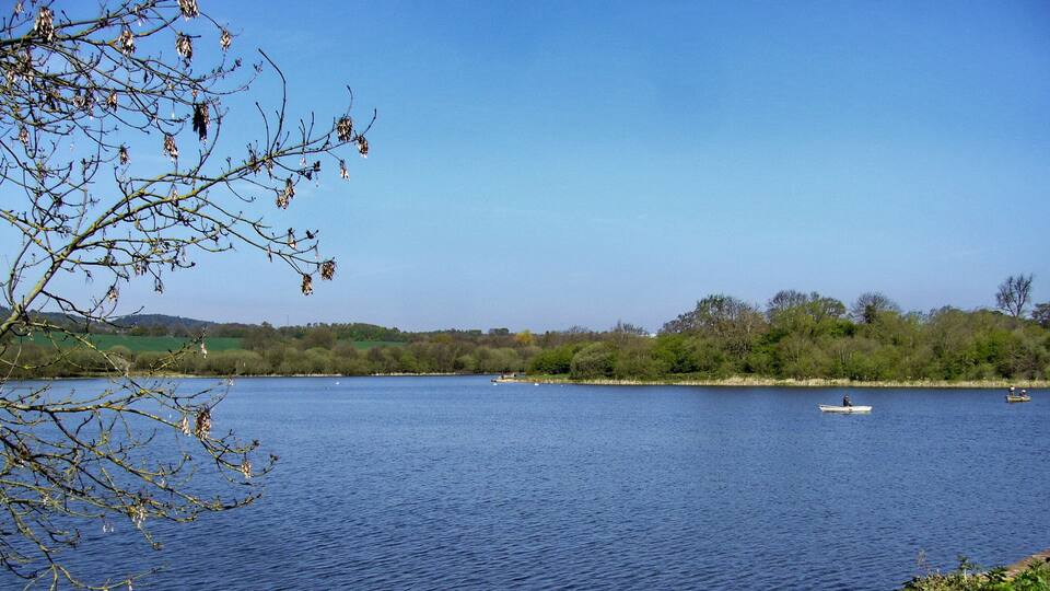 A calm lake with boats, surrounded by trees and a clear sky.