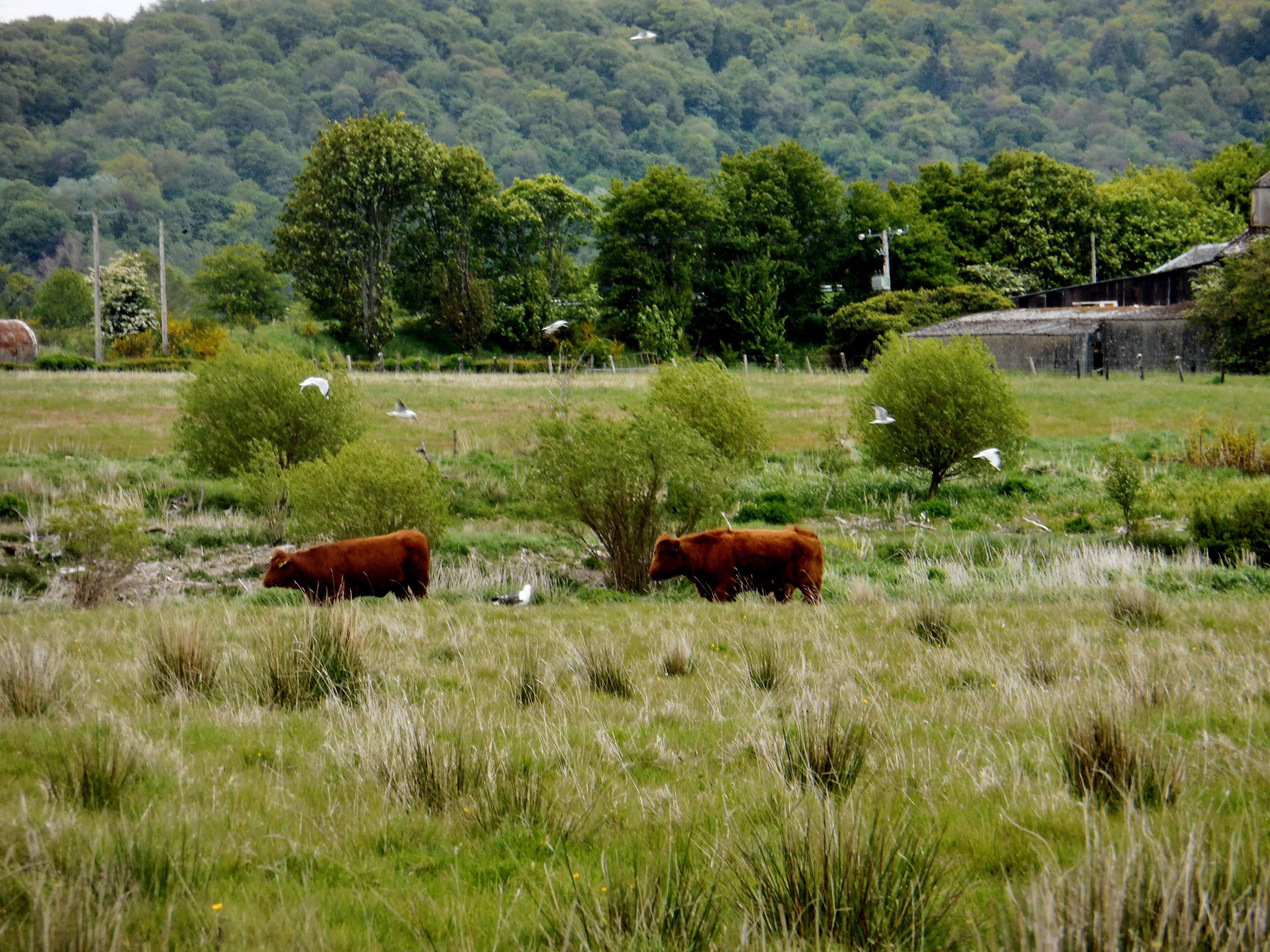 Perthshire Visitor Centre