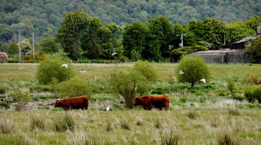 Perthshire Visitor Centre