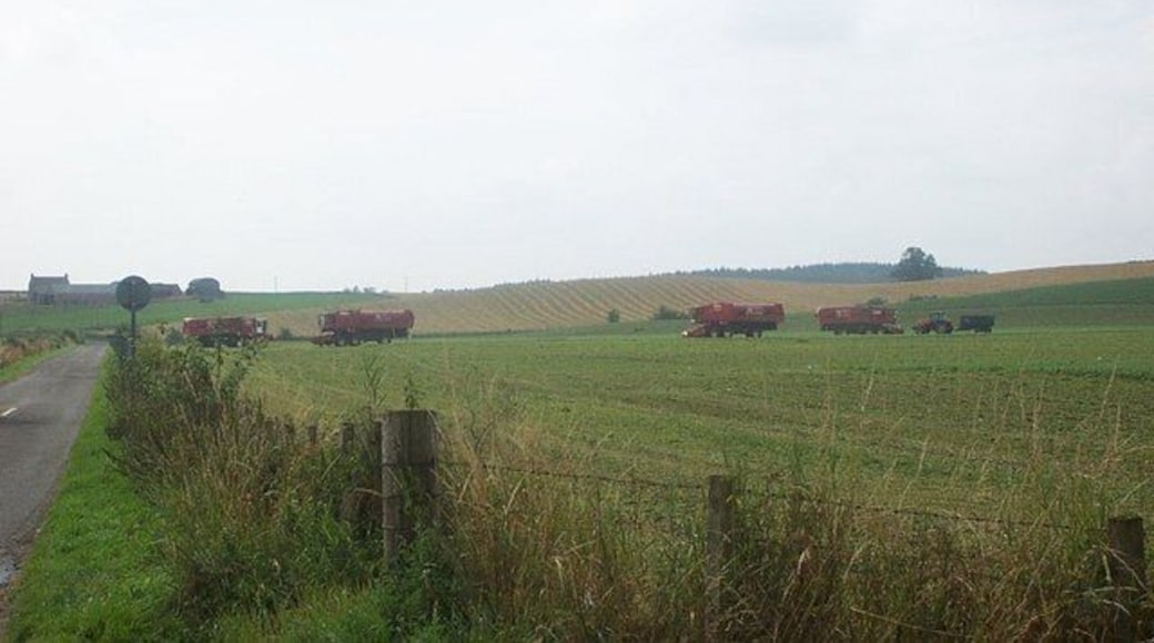 Pea Harvesters near Bankfoot