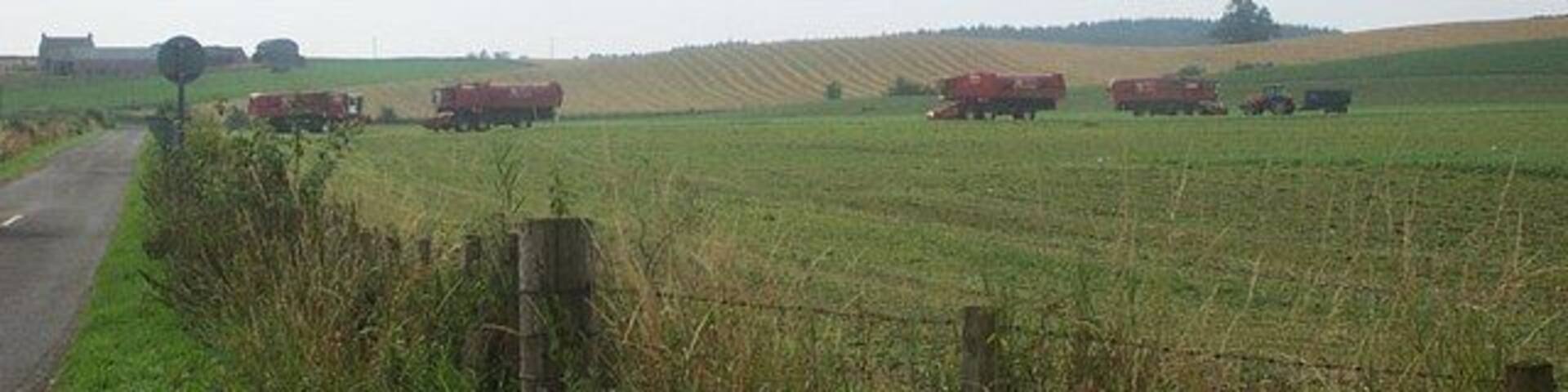 Pea Harvesters near Bankfoot