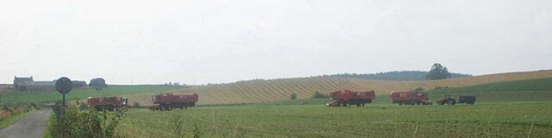 Pea Harvesters near Bankfoot