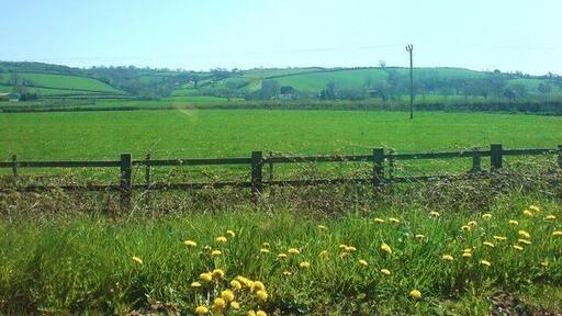 Rural view Seen from the A40.