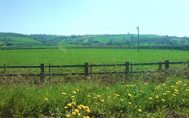A green field with a wooden fence, yellow flowers, and rolling hills in the background.