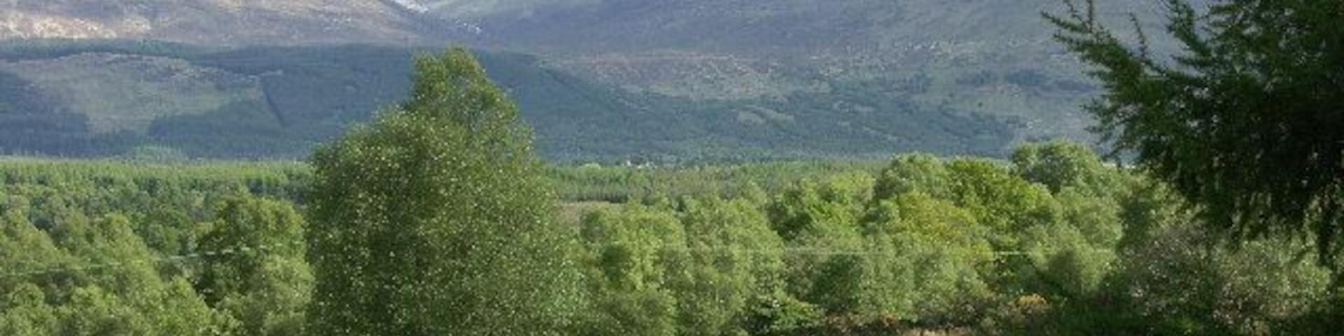 Ben Nevis from Muirshearlich.
