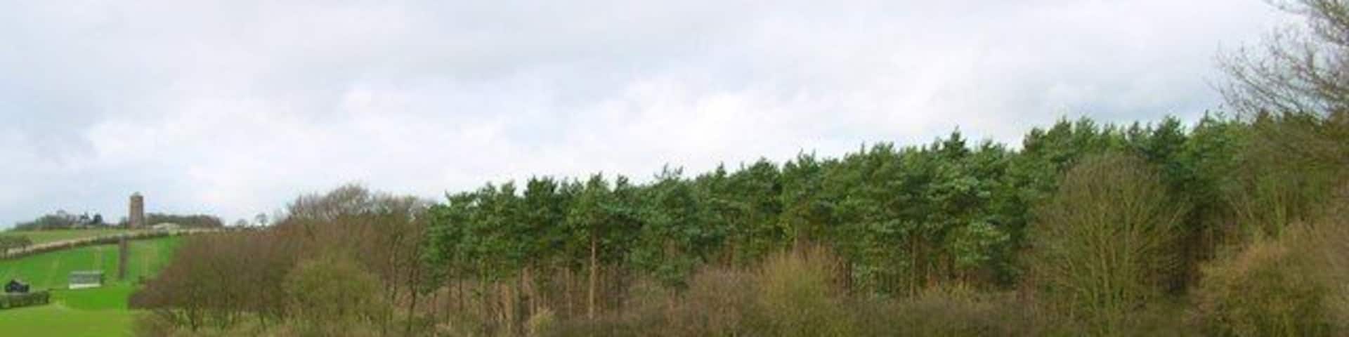 3 deer sitting out a windy day Zoom in to see the deer. There are 8 deer all together. They stood up ran into the Borley Wood before my camera refreshed so I can only show 3 here. In the next shot they were a blur.