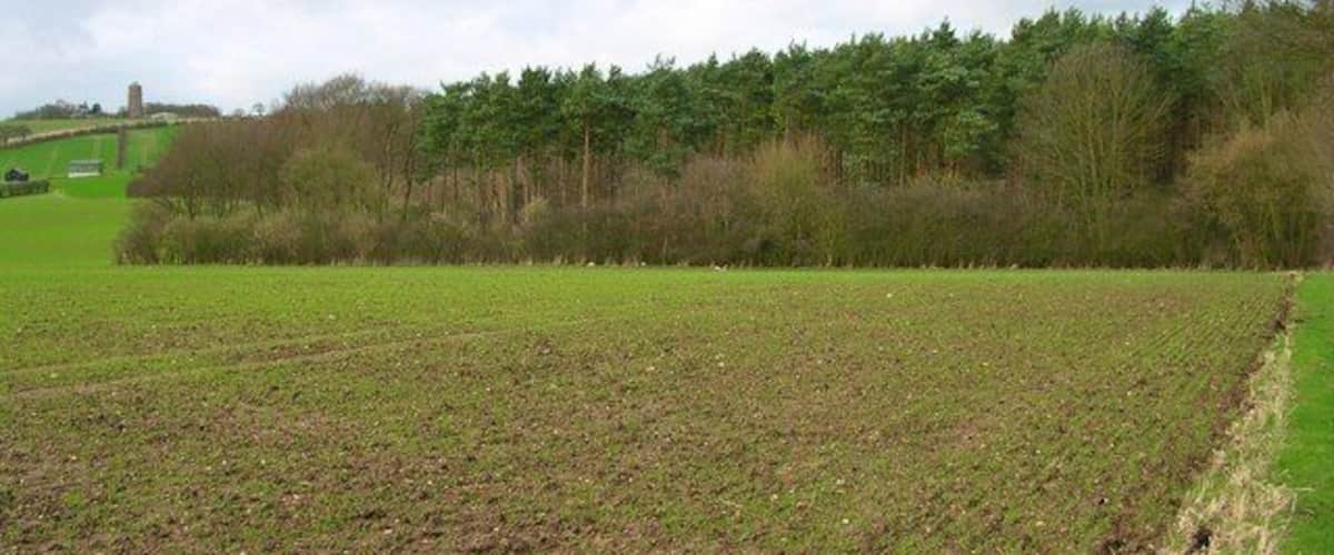 A plowed field with a forest in the background.