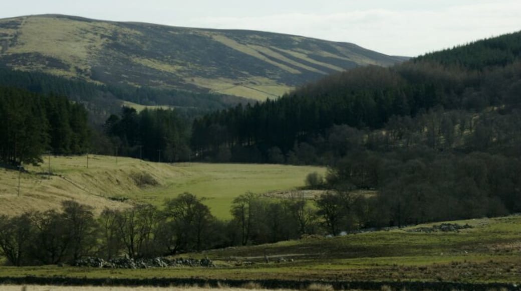 Upper Glen Prosen The glen just above Glenprosen village.