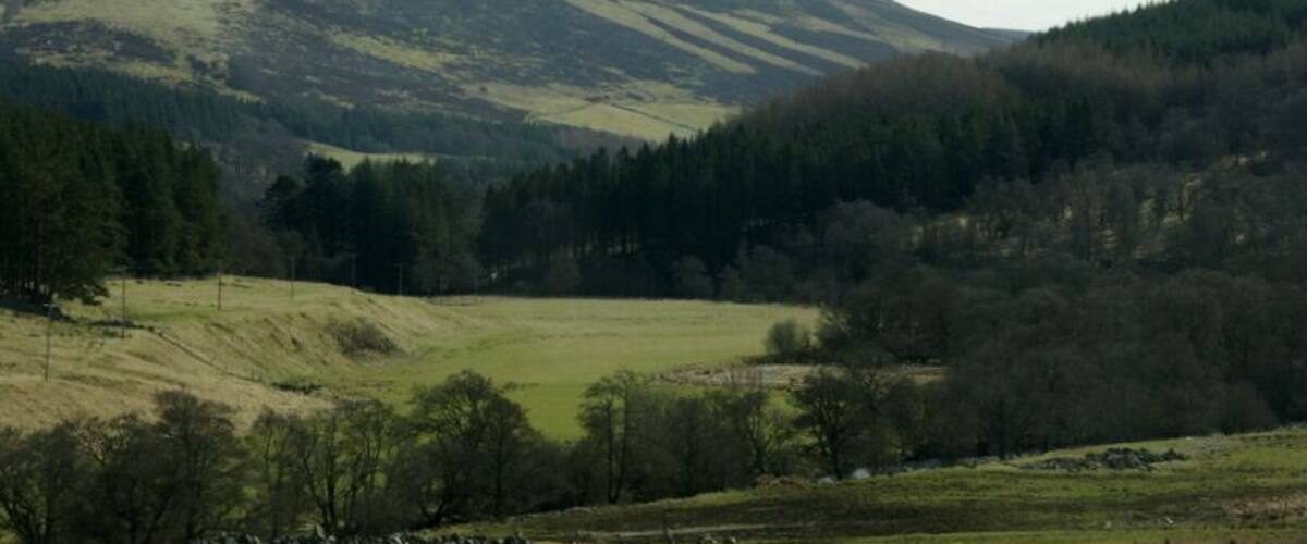 A hilly landscape with a valley, trees, and a distant mountain range.