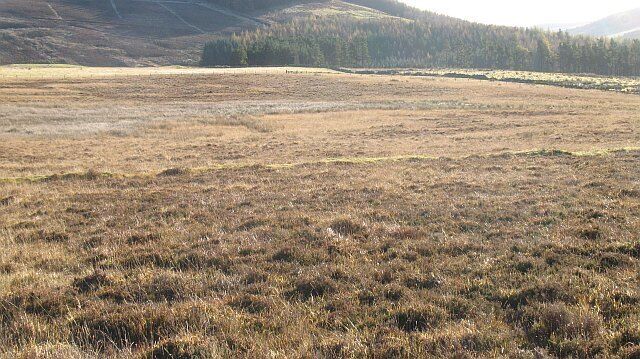 Rough grazing, Glen Logie An old boundary runs across heathery ground. Glen Logie is grazed by sheep and cattle.