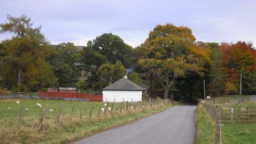 The road from Kinaird to Dalguise The view of a cottage opposite Milton of Kincraigie Farm on the B898 road from Kinnaird to Dalguise.