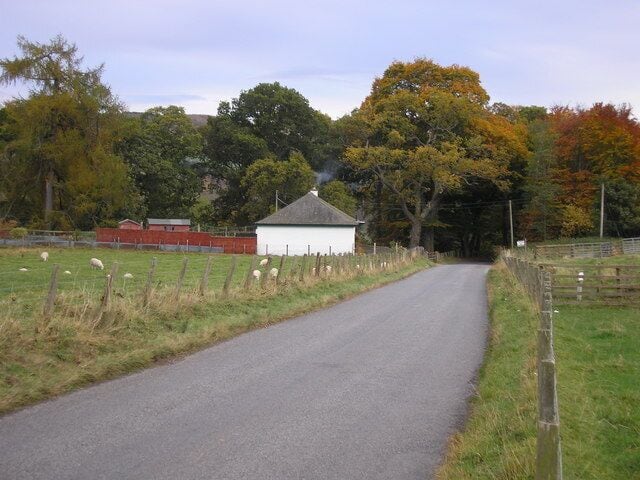 A rural road with a white building, sheep, and trees in the background.