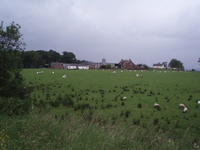 Woodend Farm. Sheep grazing before the storm hits