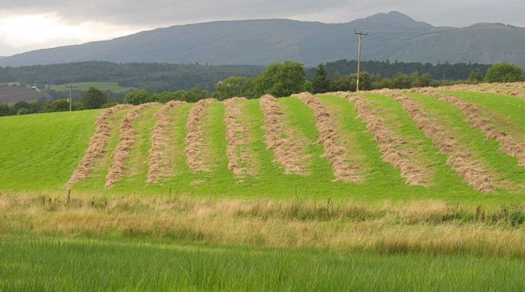 Attempted haymaking, Kepdowie The greenery tells that the hay has been cut a long time. Another victim of the non-Summer of 2008.